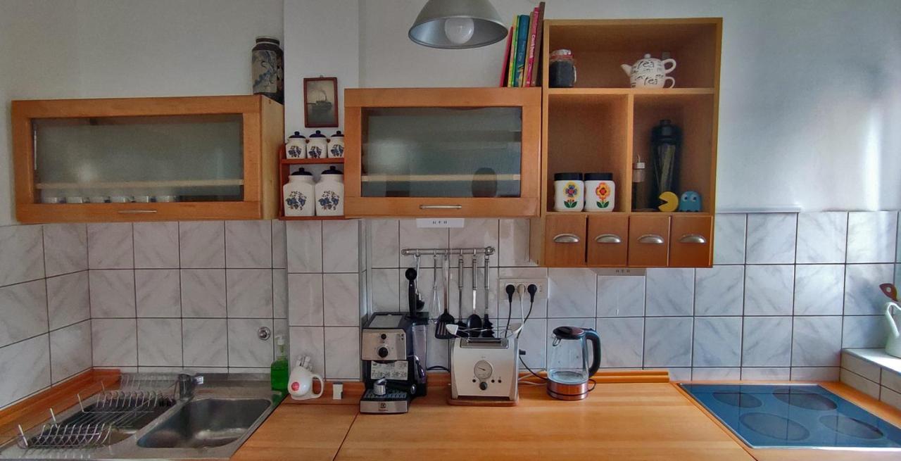 Sokolov Apartment スメデレヴォ エクステリア 写真